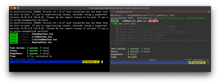 Image of the console showing Jest and Detox test suites both passing